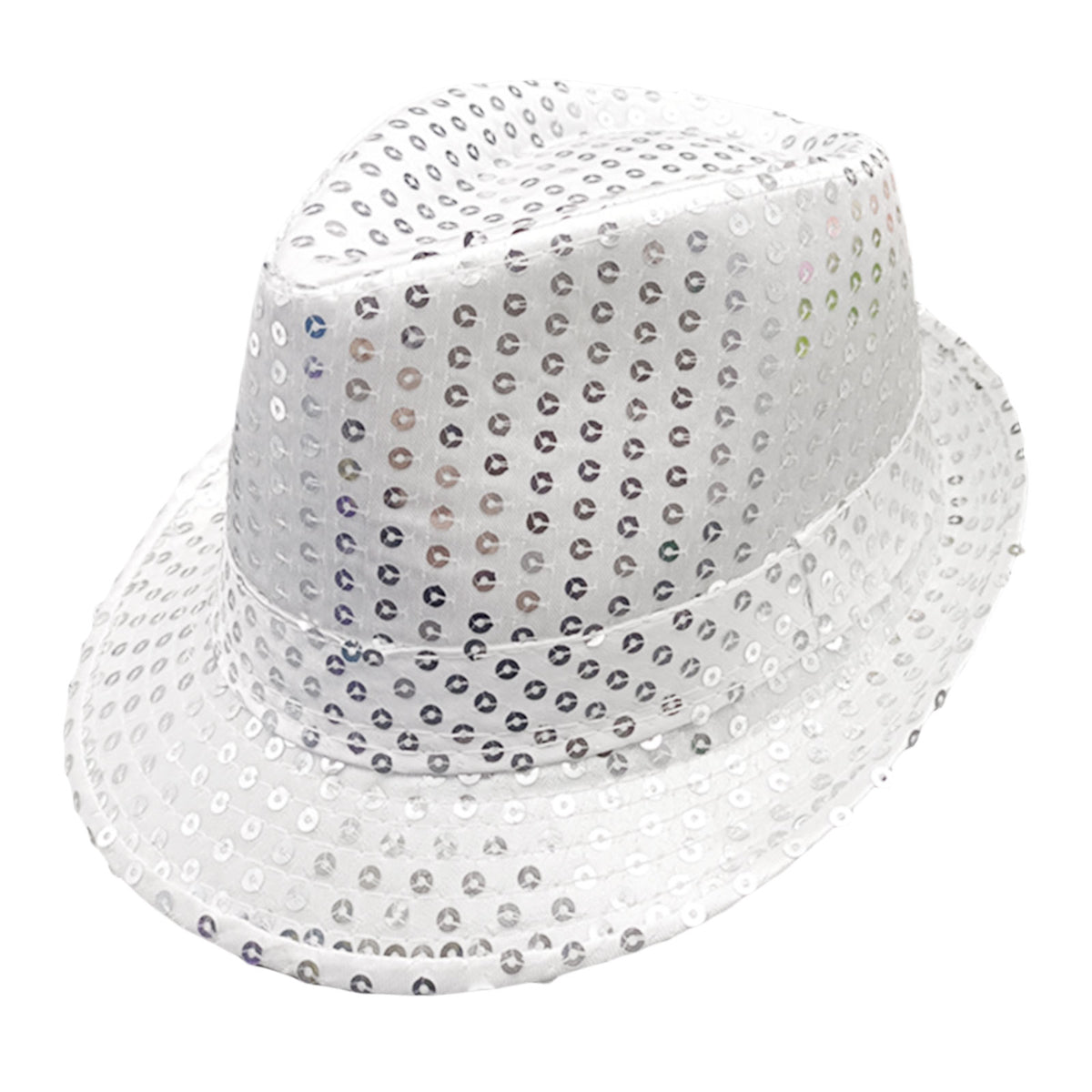 Glitter Hoed Zilver