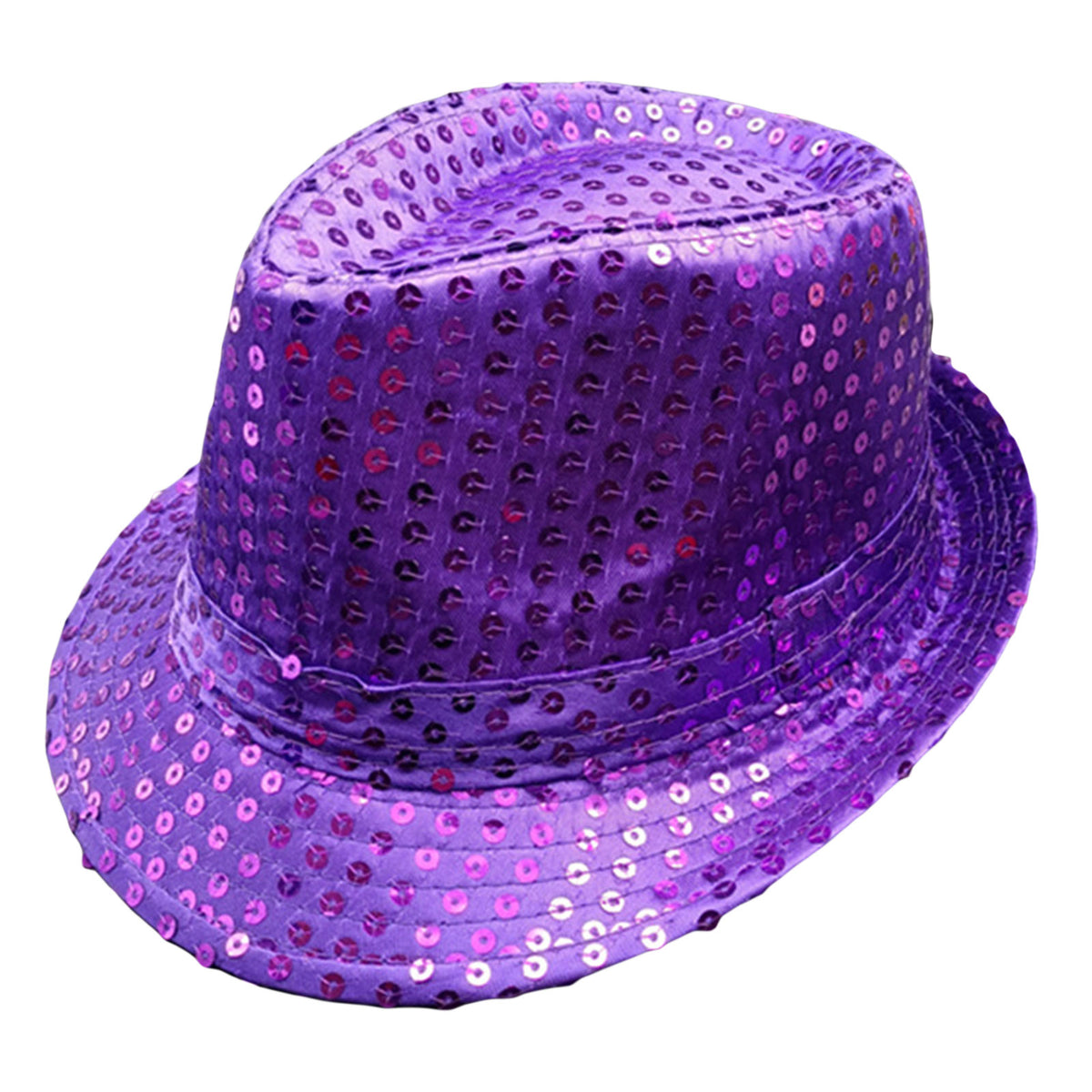 Paarse Glitter Hoed